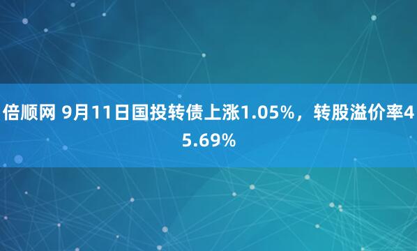 倍顺网 9月11日国投转债上涨1.05%，转股溢价率45.69%