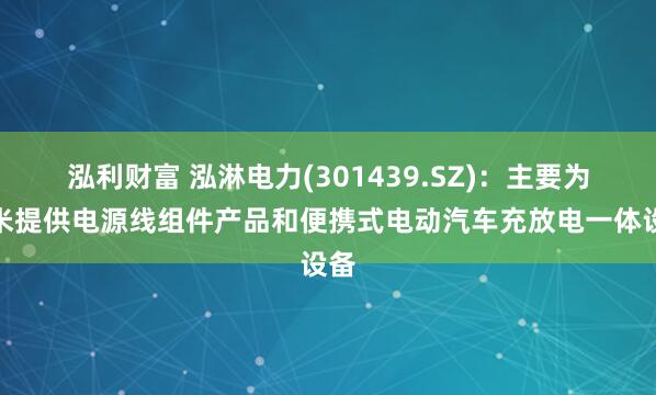 泓利财富 泓淋电力(301439.SZ)：主要为小米提供电源线组件产品和便携式电动汽车充放电一体设备