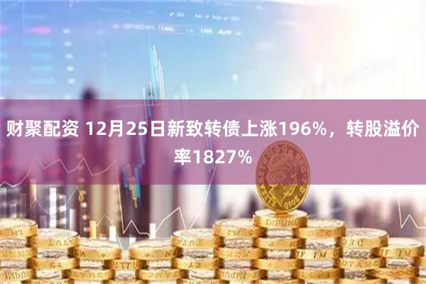 财聚配资 12月25日新致转债上涨196%，转股溢价率1827%