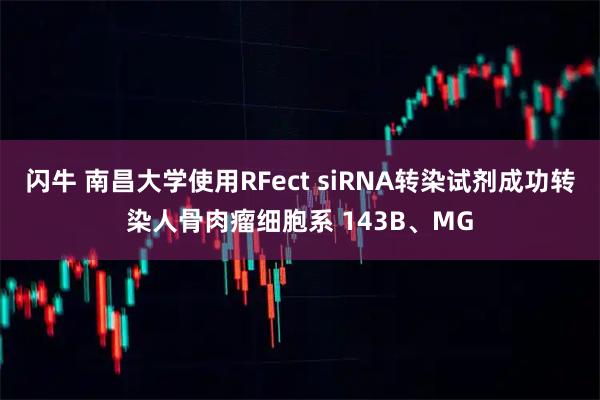 闪牛 南昌大学使用RFect siRNA转染试剂成功转染人骨肉瘤细胞系 143B、MG