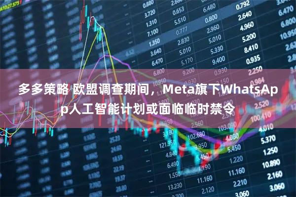 多多策略 欧盟调查期间，Meta旗下WhatsApp人工智能计划或面临临时禁令