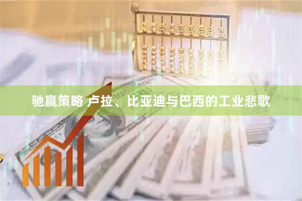 驰赢策略 卢拉、比亚迪与巴西的工业悲歌